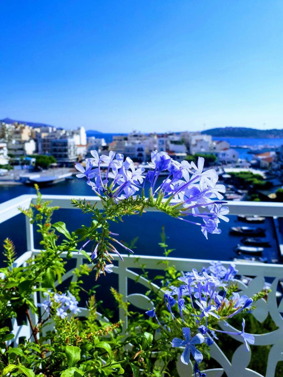 Emerald Lake Studios Agios Nikolaos Extérieur photo